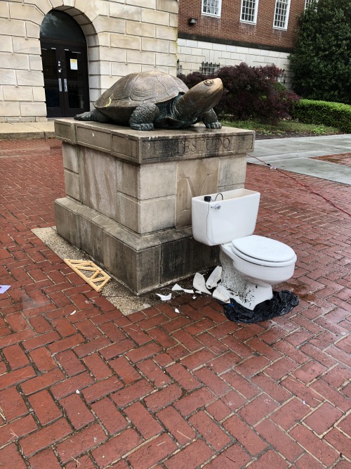 Testudo sacrifices as of May 7. I’ll try to get another photo as I’m sure they’re piling up, but I h