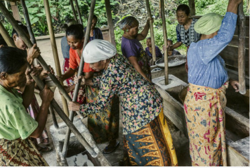 Ian Teh: When Traditional Rice Farming Symbolises ‘Resistance’Rice is the second mo