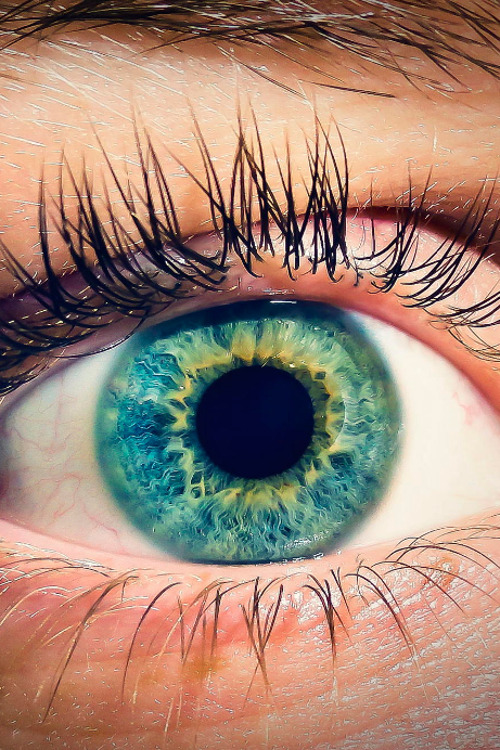 plasmatics-life:  Blue Eye | (by Lucas Geryng)