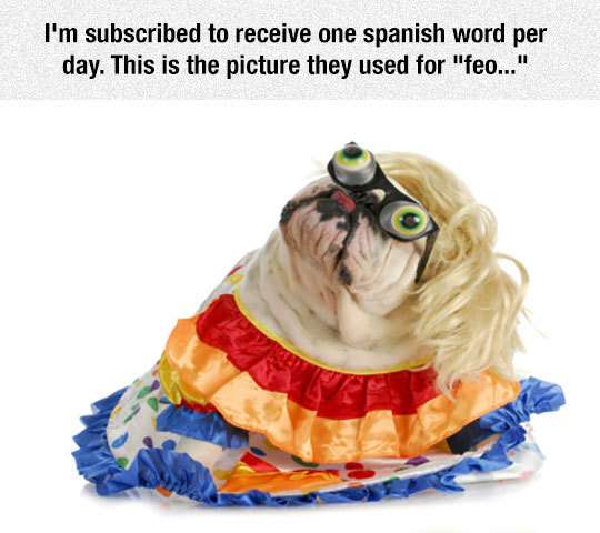 srsfunny:Ridiculous Standards Of Beauty These Dayshttp://srsfunny.tumblr.com/