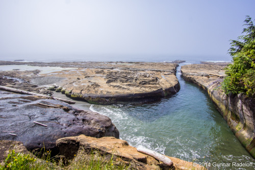 7.7.2014 - day 5 on the West Coast Trail - the fog moving in..#BC #Canada #VancouverIsland #WestCoas