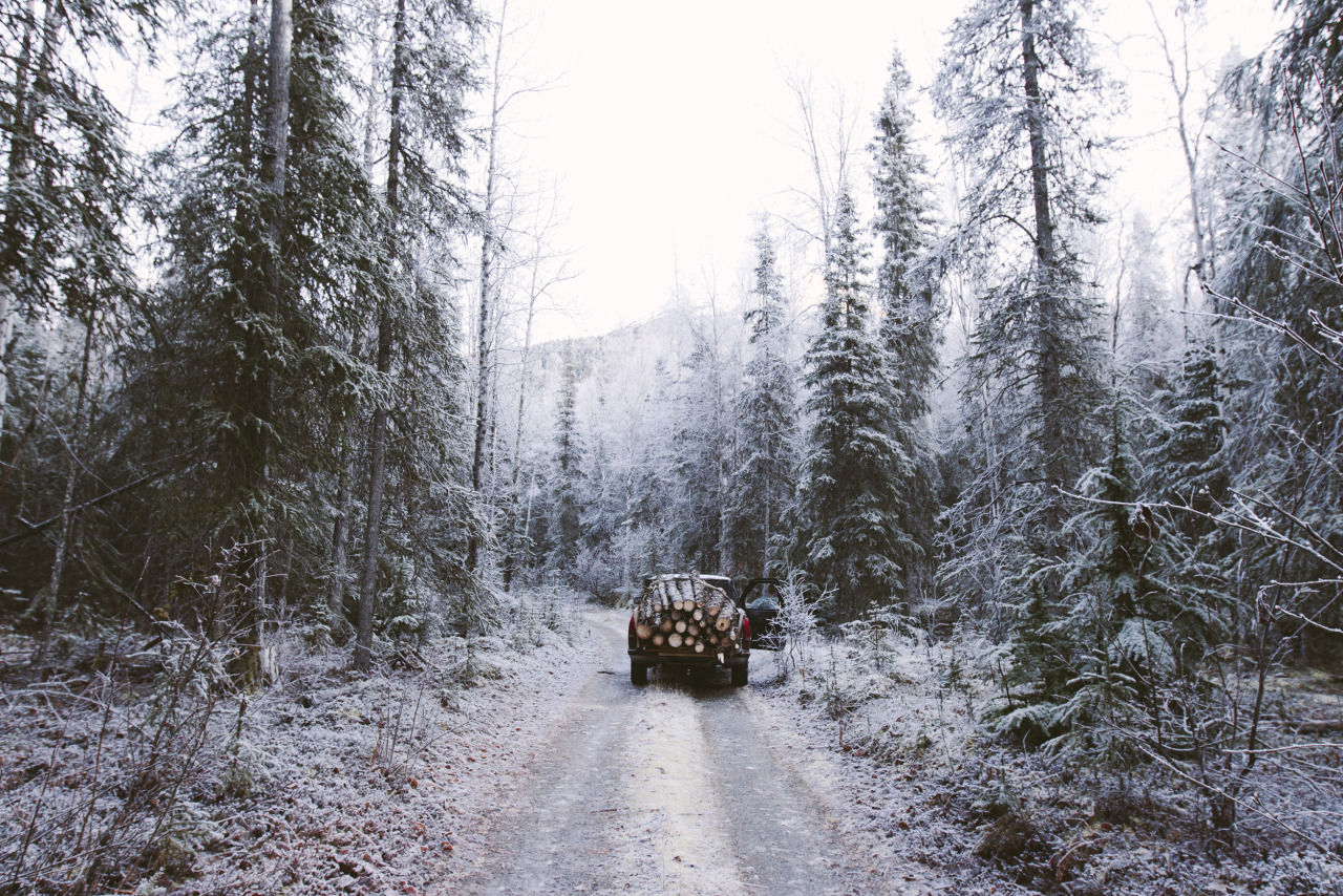 alexstrohl:  Alaska Part II for Canon USA 