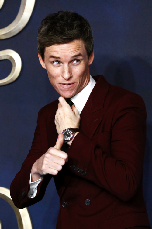 EDDIE REDMAYNE‘Fantastic Beasts: The Crimes of Grindelwald’ Première, London (November 13, 2018).