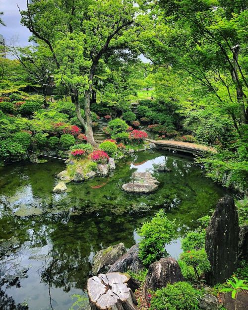 和歌山城 西之丸庭園（紅葉渓庭園）[ 和歌山県和歌山市 ] ② Wakayama Castle Nishinomaru Garden, Wakayama ーー紀州徳川家の祖 #徳川頼宣 が自らの隠居所