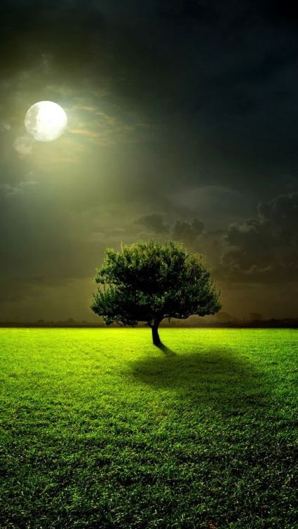 beautymothernature:  I Like It Natural An share moments 