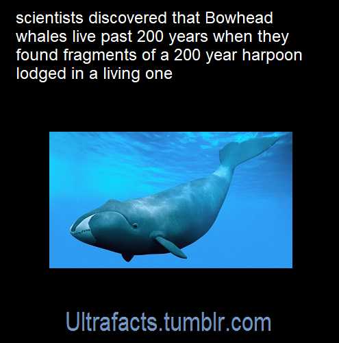 ultrafacts: Source: [x] Follow Ultrafacts for more facts! 