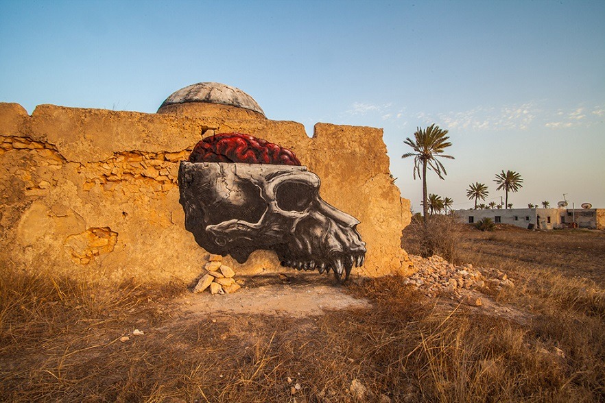 asylum-art:  Street Artist ROA’s Murals Make Creative Use of Tunisia’s Domes