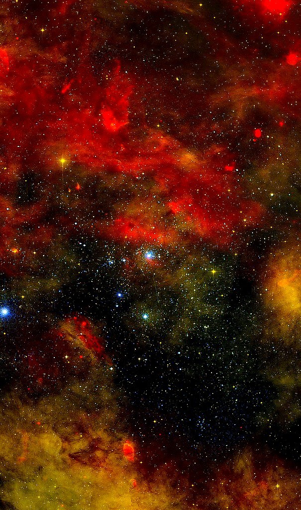 n-a-s-a:  Cygnus OB2 is an OB association that is home to some of the most massive