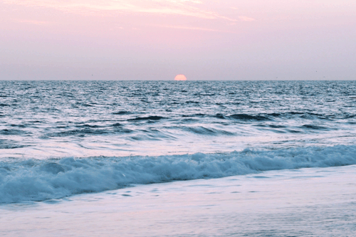 leahberman:  cotton candy sunset instagram   refocuses 