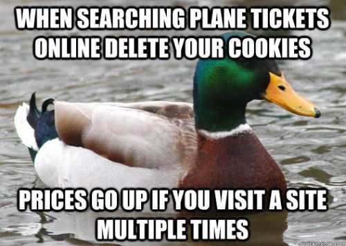 acquiesce-cronabunny:  sinkinlikestones:  moriartygodofmischief:  This duck is a fucking genius   Women understand women and they hate each other.  That last one is the best. I’m not even kidding. 