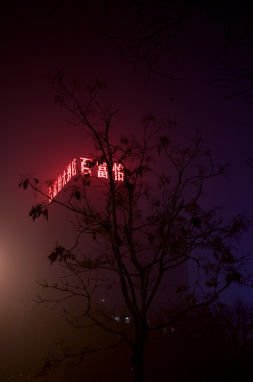lucyldn:   2015年12月 neon air pollution tree 北京东直门  