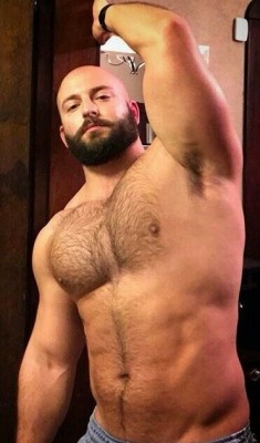 Hairy Guys n Bears