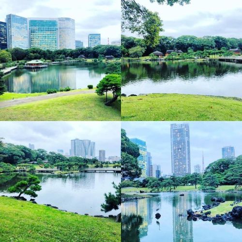 ⛳️1519. 浜離宮恩賜庭園 Hamarikyu Garden, Minato-ku, Tokyo ――徳川将軍家の別邸の庭園として築庭された、東京・江戸を代表する日本庭園であり、 #大名庭園 の最