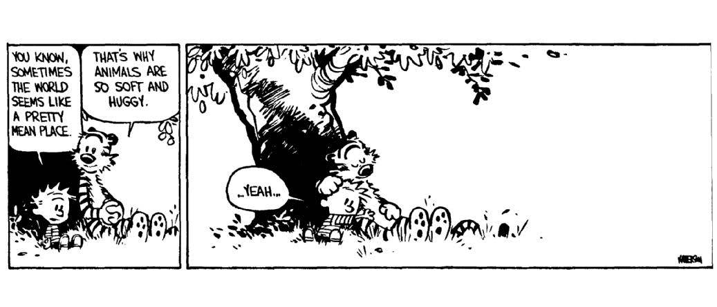 man-of-prose:
“Calvin and Hobbes
”