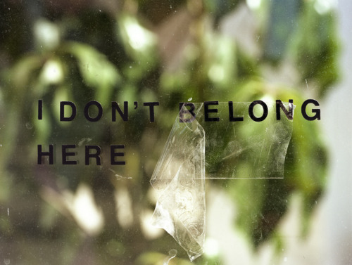 melisica:(by Brendan George Ko)