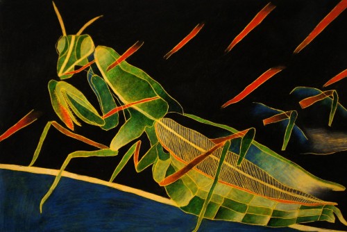 thunderstruck9:jareckiworld:Maxim Santalov  —  Mantis  (wax crayon, 2013)Maxim Santalov (Russian, b.