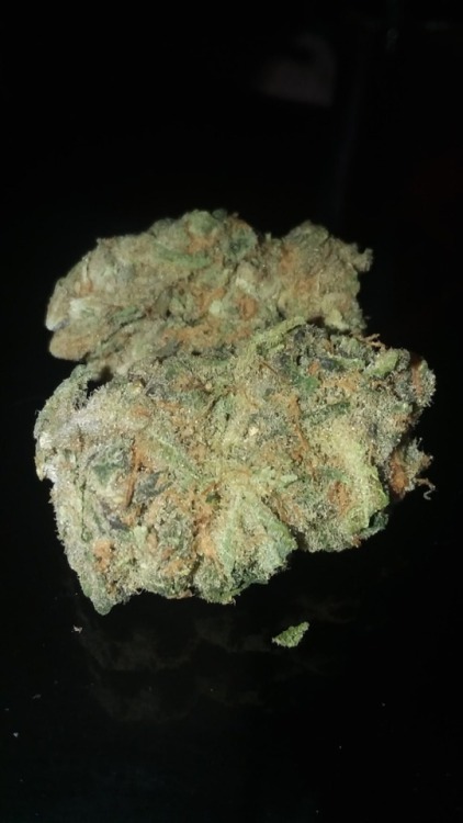 thirdeyejunky: AppleFritter, Purple Hindu Kush, Headband