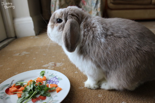 princess-peachie: Look at the soft bun eating the nummy salad look at it LOOK AT IT