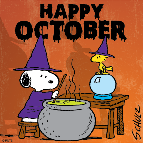 All Things Autumn