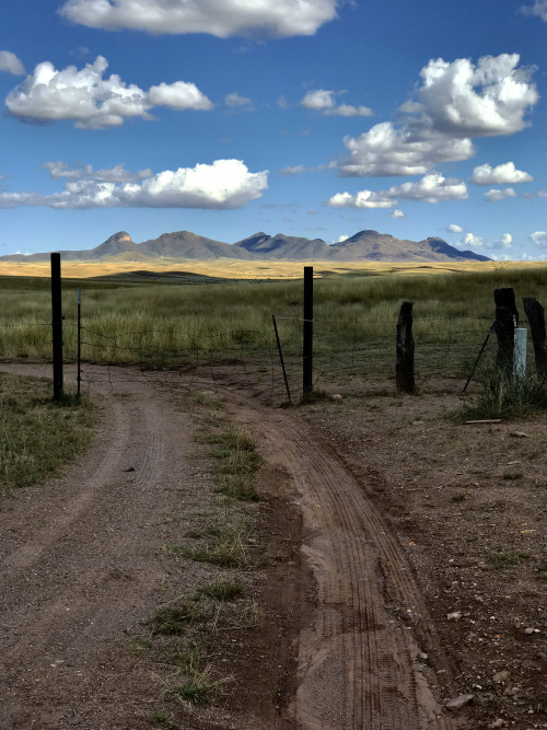 thelostcanyon:A view of the Mustang Mountains from a remote ranch gate, Santa Cruz County, Ariz