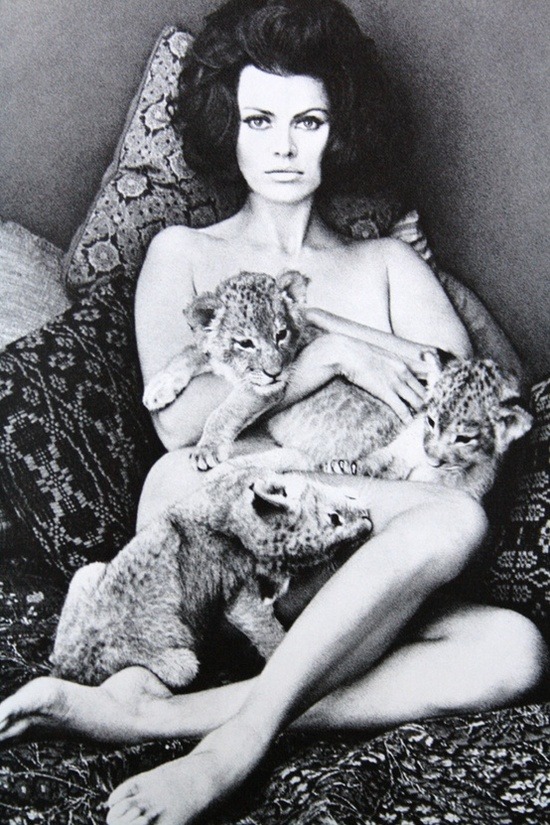 foxesinbreeches:  From Mirror of Venus by Wingate Paine Also   Hello pussy cat