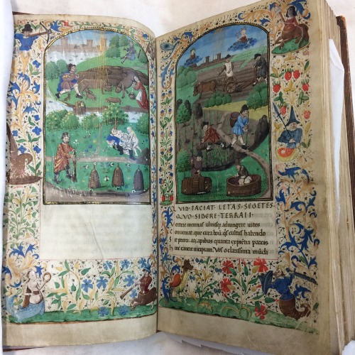 lightningrapunzel: Today I got to handle rare medieval manuscripts. I love my degree so damn mu