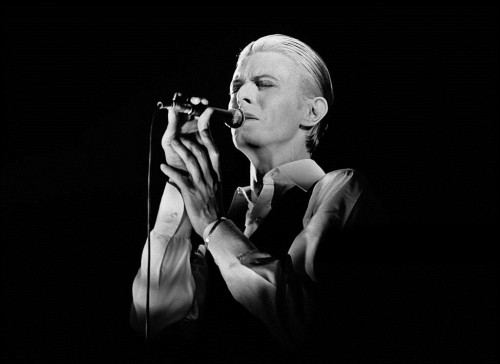 nightspell:David Bowie, May 13, 1976, Ahoy, Rotterdamphotos by Gijsbert Hanekroot