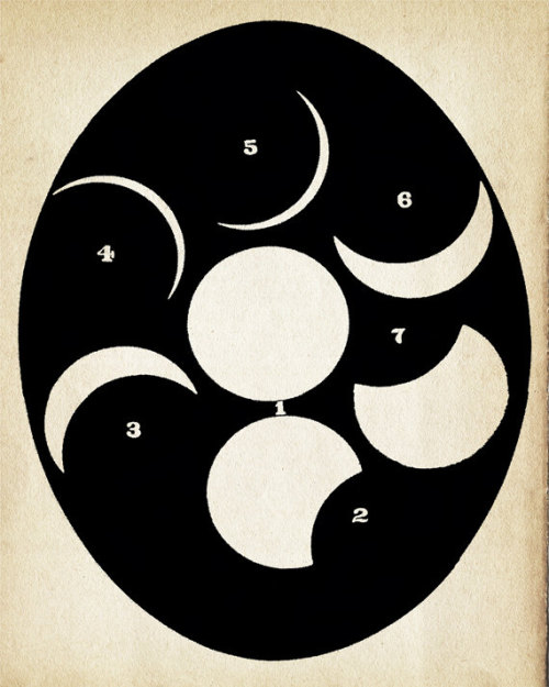 matissegal: moon &amp; constellation prints