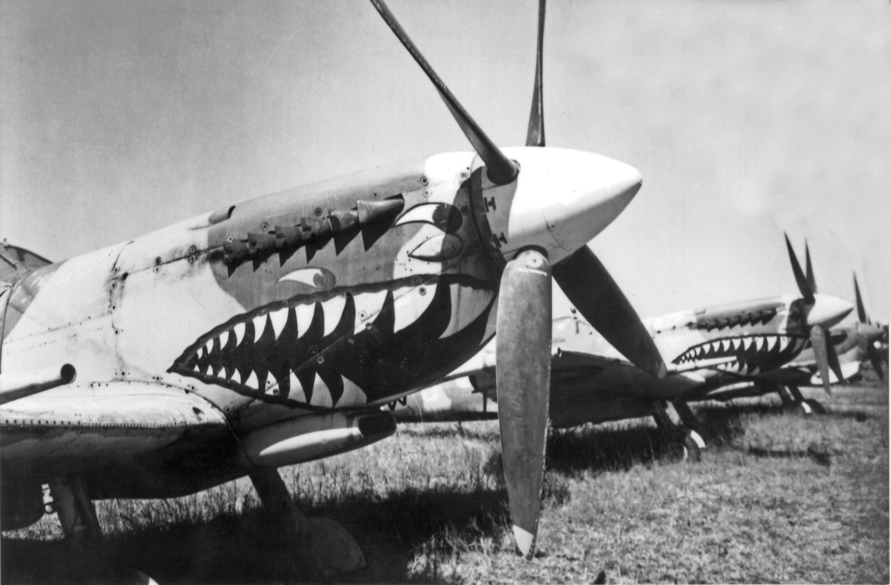 tanks-a-lot:  Supermarine Spitfire