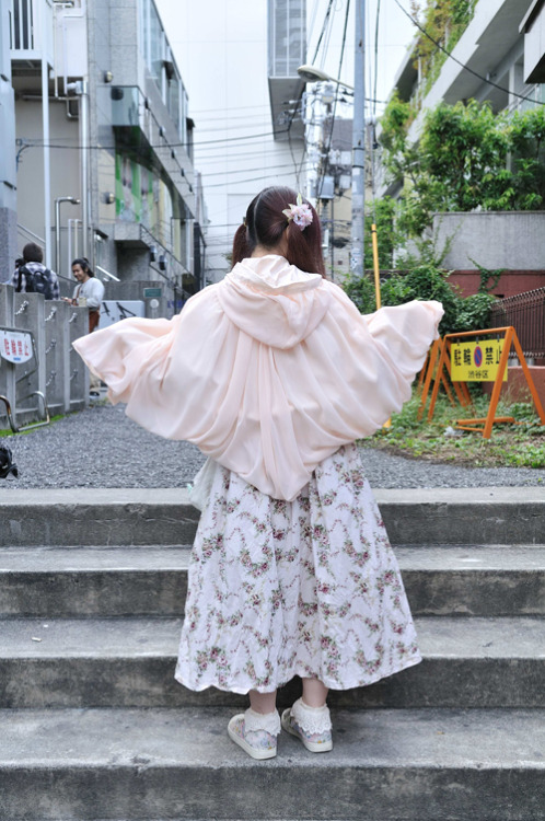 fineandfancy:  ridsnap.com