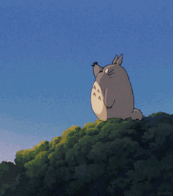 hikari-to-ai:  Totoro