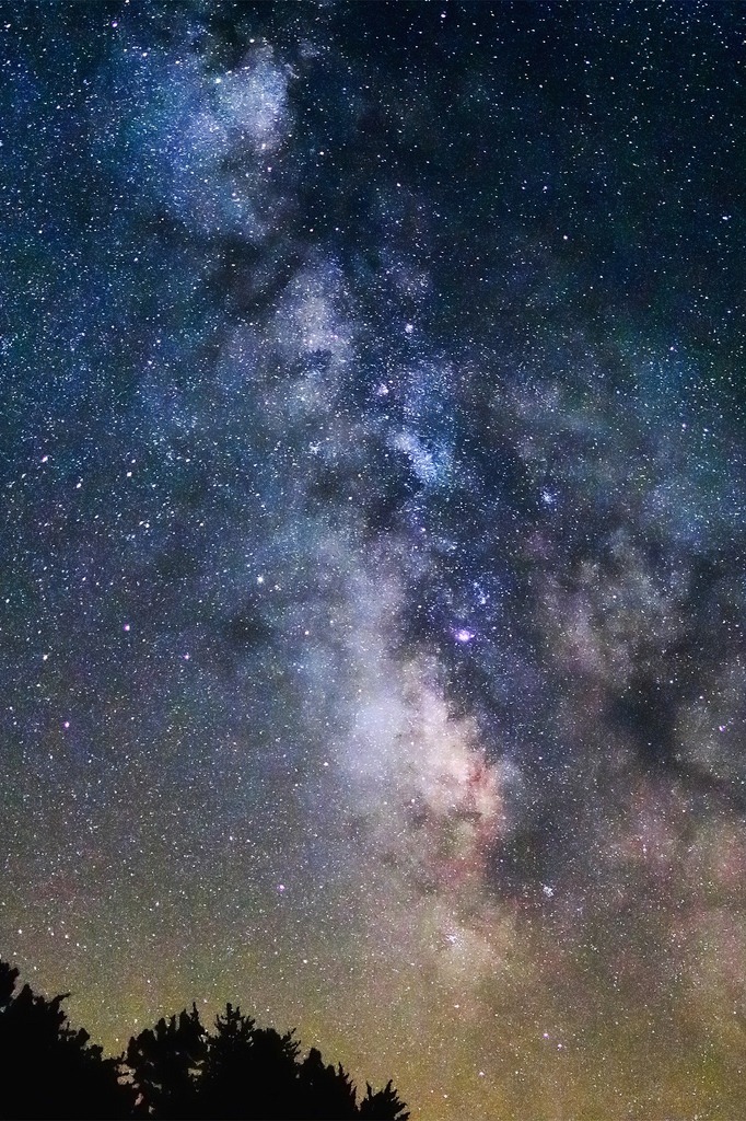 ivvvoo:  Summer Milky Way by Sky Noir | Website