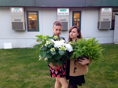 5.19.16 - How we feel about having stolen these plants vs how we feel about college