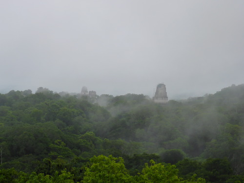 eileenkphotography:  Temples in the Mist (Tikal, Guatemala) ~ Eileen Kitayama 2015