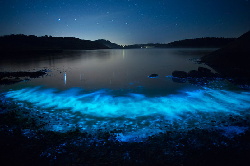 nubbsgalore:  though beautiful, these fluorescent blue patches of water are an indicator