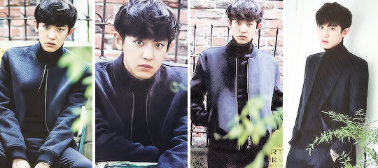 fan-qins:    Season greeting 2016 (compilation Chinese version)   