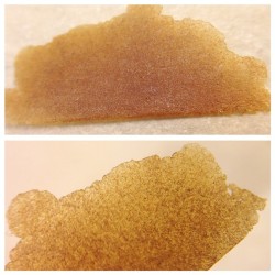 terpsincluded:  Goo Full Melt Pressed #icewax #waterhash #trichomes #terps #terpenesincluded #shatter #solventless #goo @harborsidehealthcenter