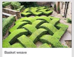 valeriegoodwin:  Woven hedges…! http://ift.tt/1qen1yj