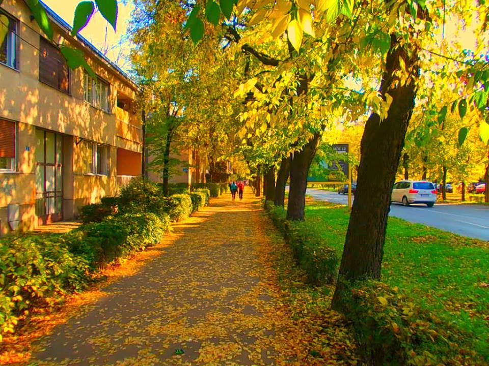 Beauty of autumn&hellip;