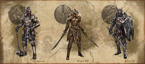 theomeganerd:The Elder Scrolls Online ~ New Armor Concept ArtIs there ever going to be a fucking TES