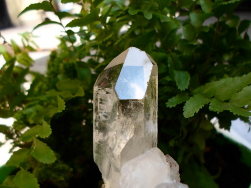 queeerlookingcontraption:My quartz and nature 
