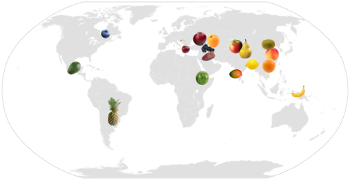 mapsontheweb:World map showing the origins of some popular fruits.