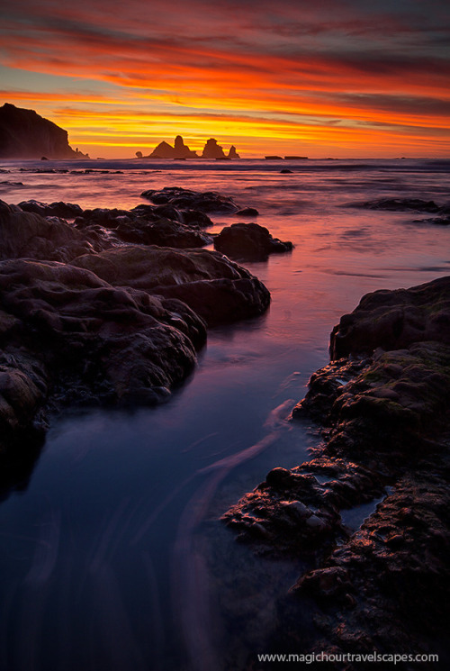 West Coast Fire New Zealand by Kah Kit Yoong