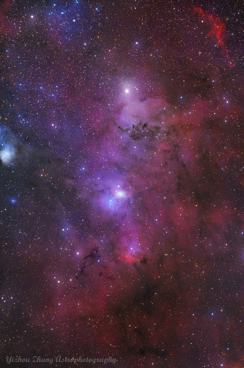 spacewonder19:
“LDN 1175, 1184 in Cepheus © Yizhou Zhang
”