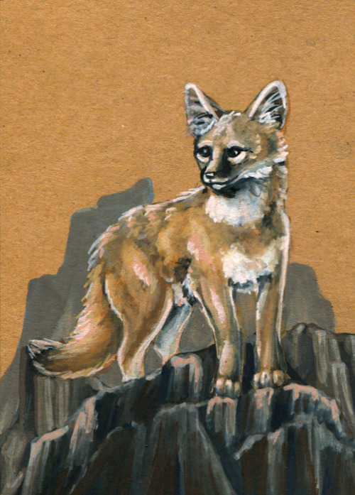 While I Was At It, I Just Painted One Fox On Each Piece Of Toned Paper I Had Somewhere In My Drawers.