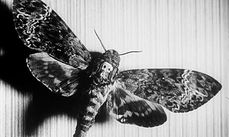 midnightmurdershow:  Un Chien Andalou (1929) Directed by Luis Buñuel  
