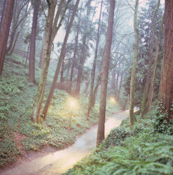 nevver:  Some girls wander by mistake