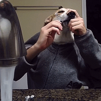 thenatsdorf:  Finley’s morning routine. [video] 
