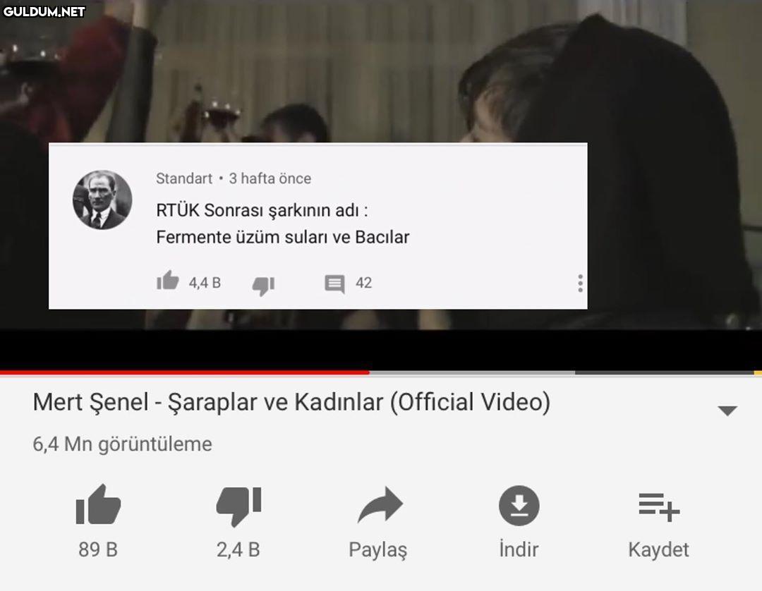 Fermente üzüm suları ve...