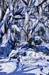 gamerism:ALTALTALTALTALTALTALTALTDRAGON AGE INQUISITION: EMPRISE DU LION - SULEDIN